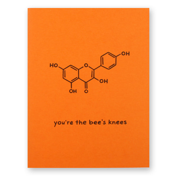 Honey Bee Card Set