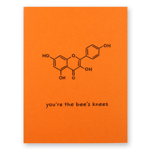 Honey Bee Card Set