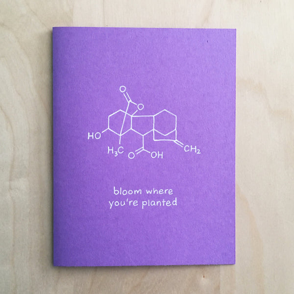Bloom Where You're Planted Card