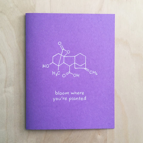 Bloom Where You're Planted Card