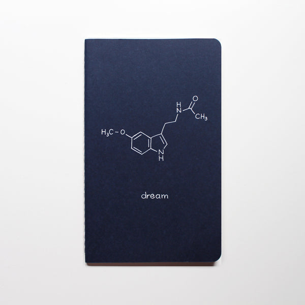 Dream Notebook