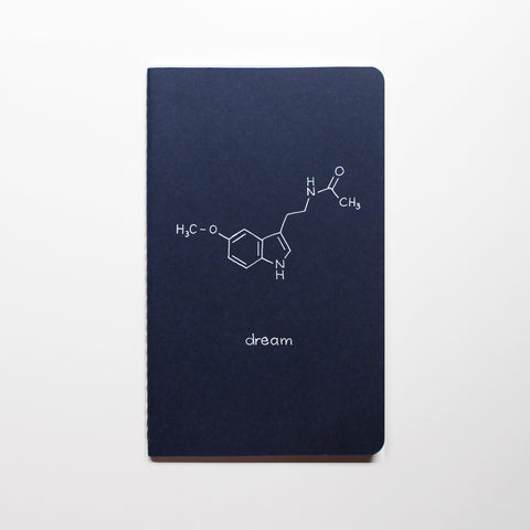 Dream Notebook