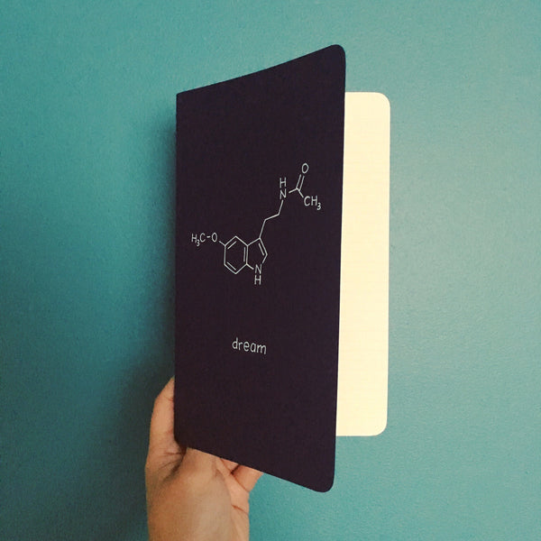 Dream Notebook