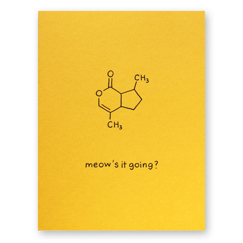 Meow's It Going Card
