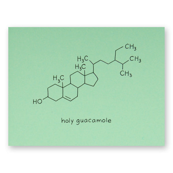 Holy Guacamole Card