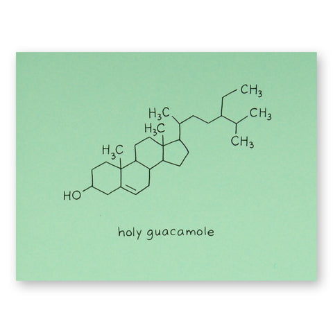 Holy Guacamole Card