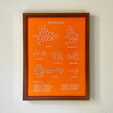 Original Framed Art: Not So Fun-gi