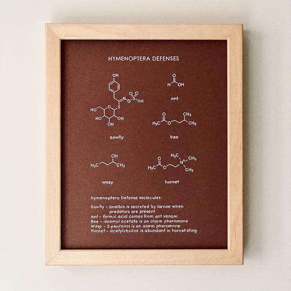 Original Framed Art: Hymenoptera Defenses