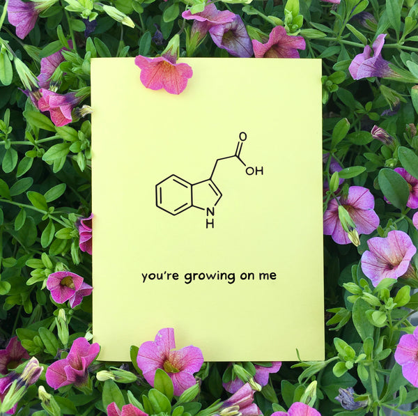 Growing on Me Card