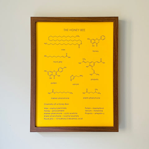 Original Framed Art: The Honey Bee