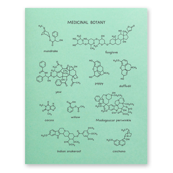 Medicinal Botany Poster