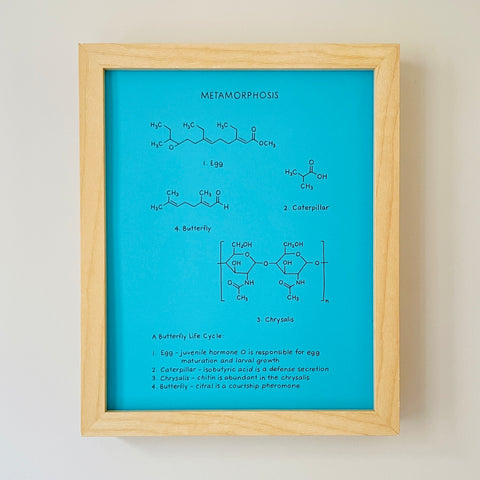 Original Framed Art: Metamorphosis