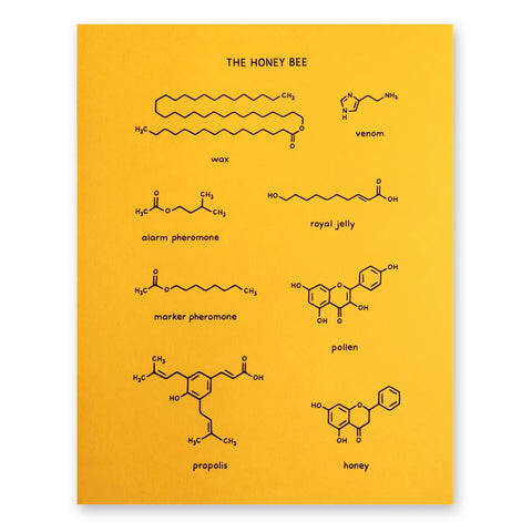 Honey Bee Poster