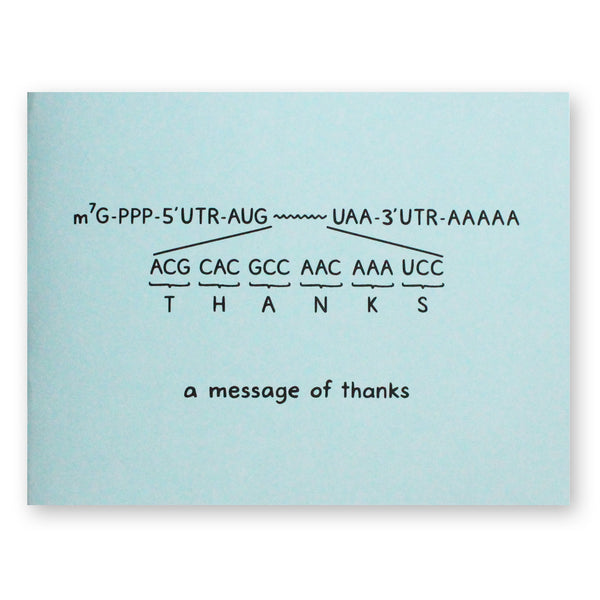 Set of 12 mRNA Thank You Cards